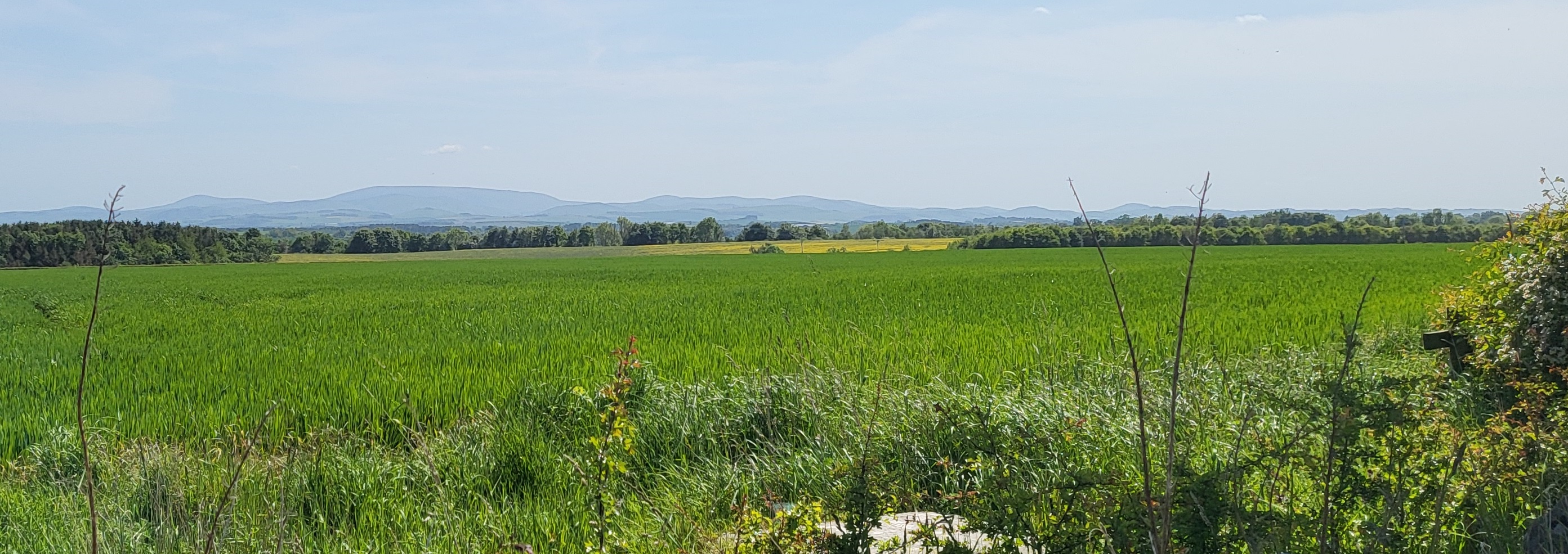 Field with Cheviot Hills in distance, as viewed from the Scottish borders