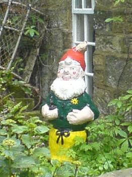 Gnome at Robin Hood's Bay.  Click here for more gnomes !