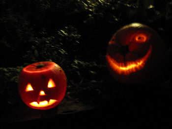 Vampiric Hallowe'en pumpkins