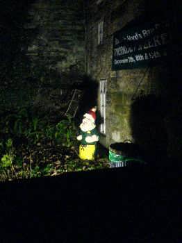 Gnome at night.