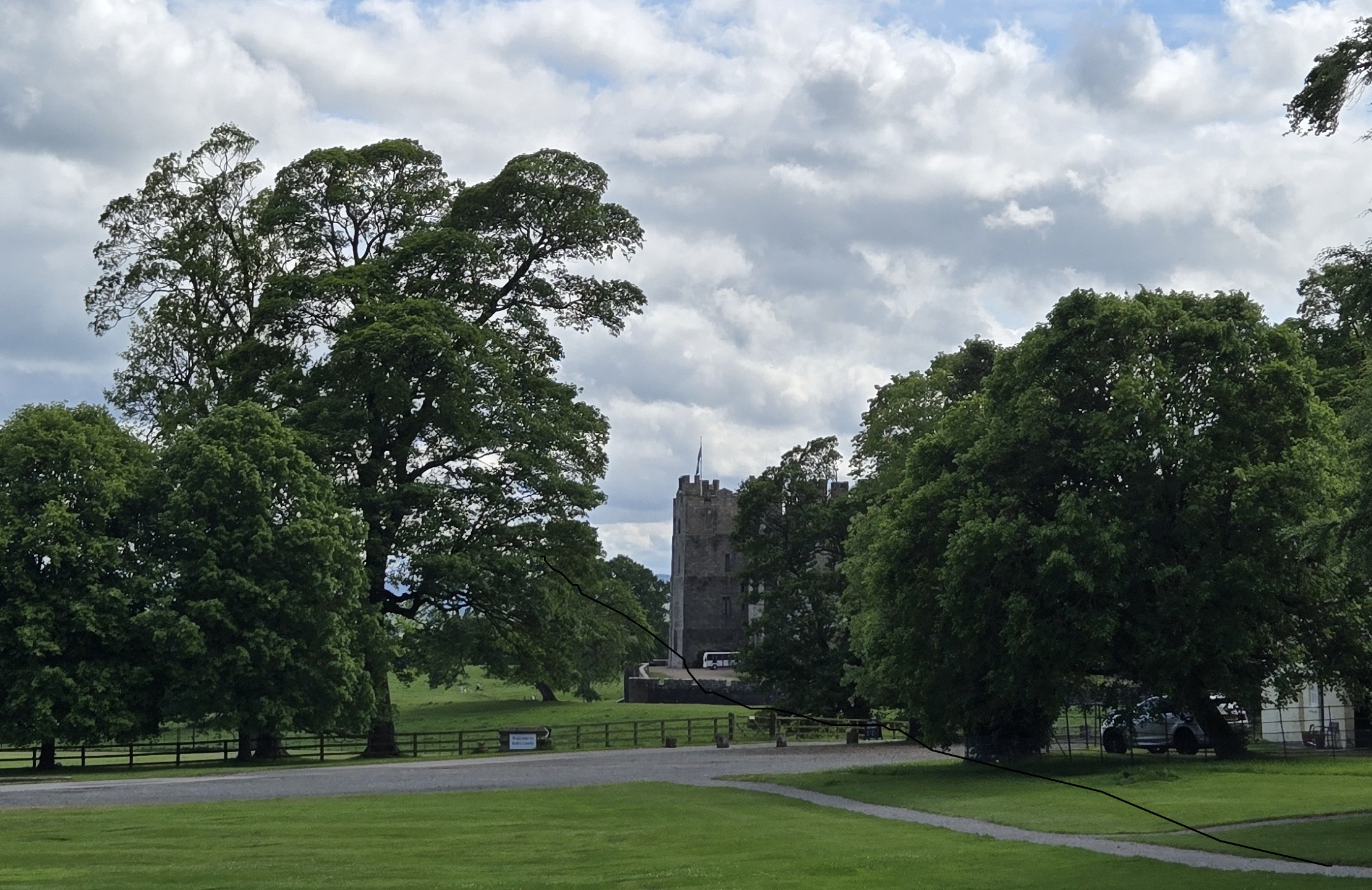 Castle in trees