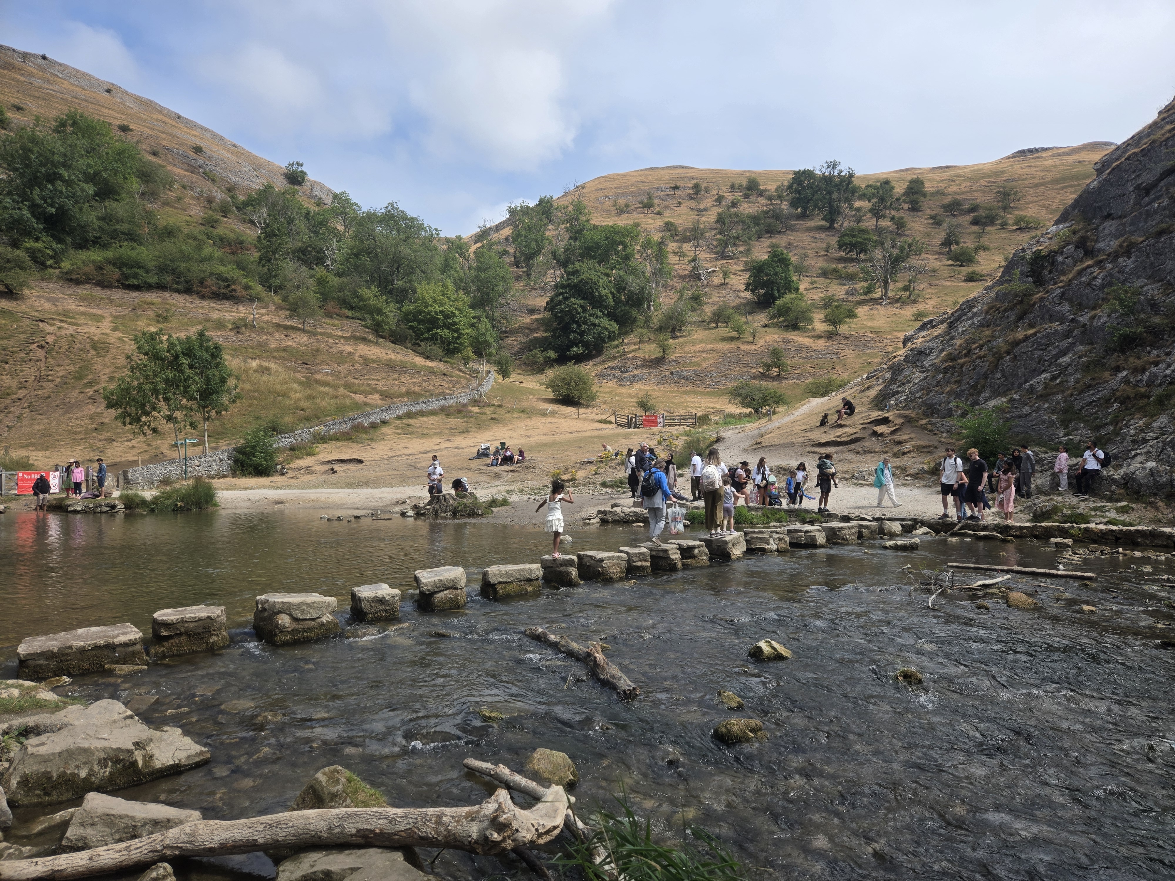 Stepping stones over river