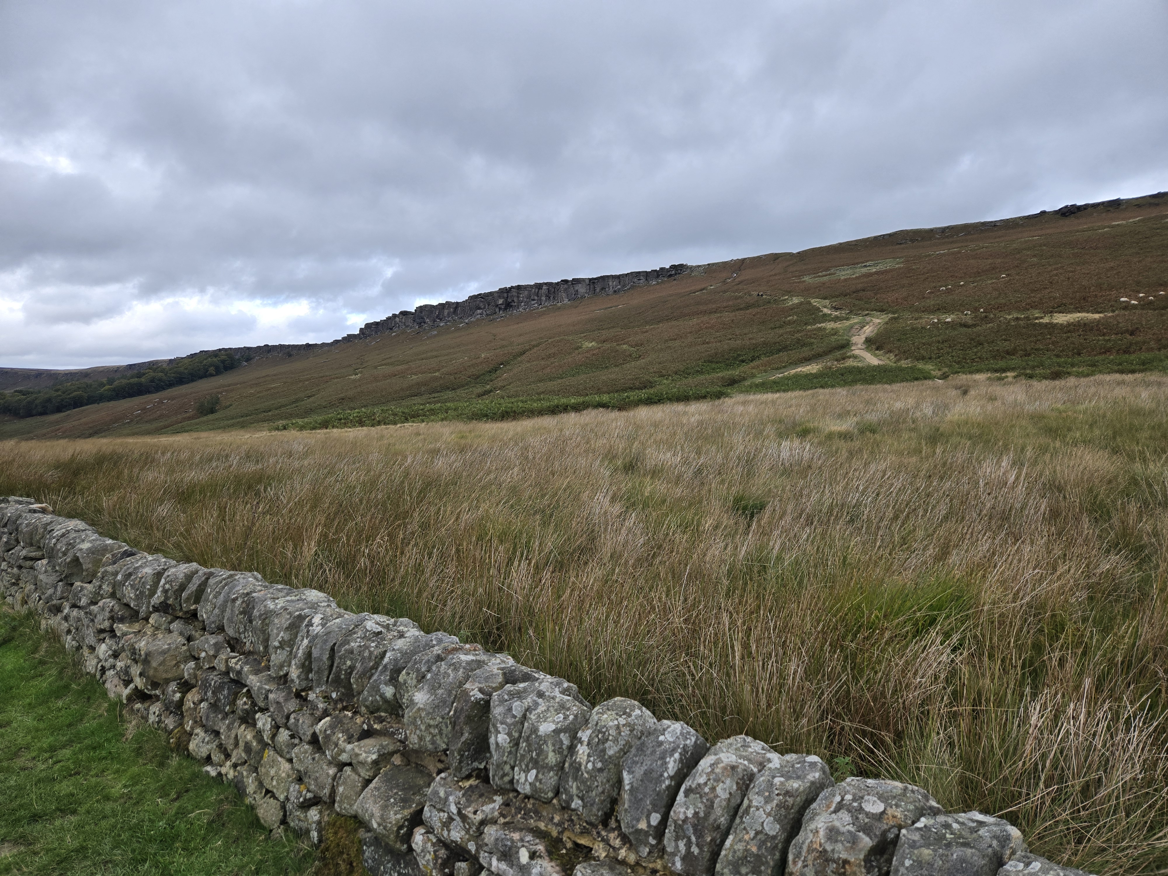 Rocky outcrop running along ridge of hill, drystone wall in foreground