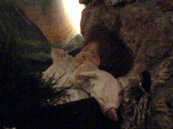 creepy baby decaying in crib