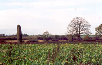 The Devil's Arrows, Boroughbridge