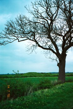 Thornborough Henge