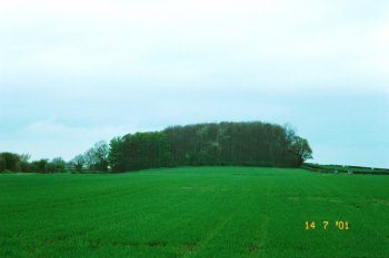 Thornborough Henge