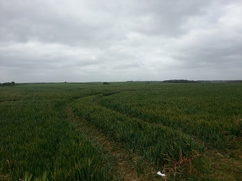 Towton