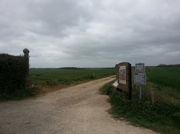 Towton