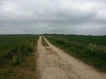 Towton