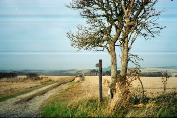 the Yorkshire Wolds